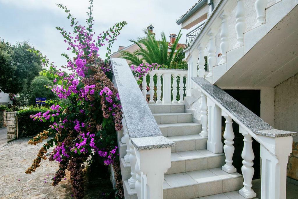Apartment Nada Petrcane Ngoại thất bức ảnh